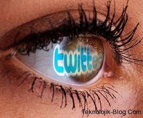 20120301125659_twitter