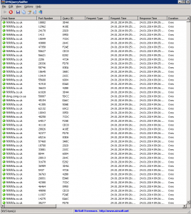 DNS Query
